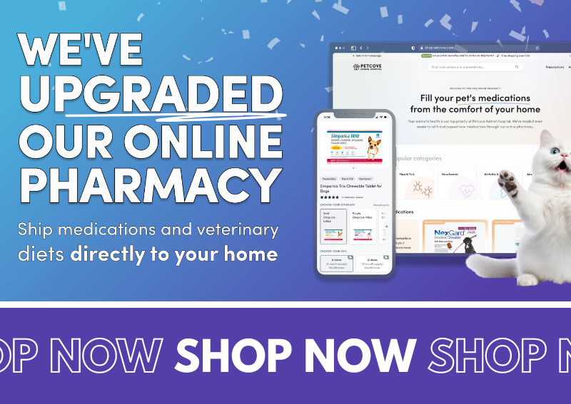 Carousel Slide 1: Shop Our Online Pharmacy >