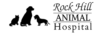 Link to Homepage of Rock Hill Animal Hospital